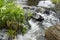 Small stream rushing under a bridge.