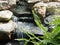 Small Stream With Slate And Rocks And Fern Frond