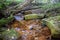 A small stream stained orange from acid mine drainage.