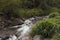 Small stream in Volcan Baru National Park Panama