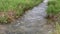 Small Stream Waters Flowing in Meadow on Plain