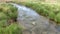 Small Stream Waters Flowing in Meadow on Plain