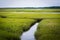 Small stream in a wetland seen from the Sandwich Boardwalk, in S