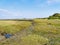 Small streams criss cross West Wittering saltmarsh