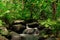 Small streams flow through abundant tropical forests in forest of Thailand,Phang Nga,Koh Yao Yai