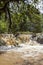 Small streams in Kakamega Forest. Kenya, Africa