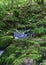 Small streams over mossy rocks in forest