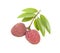 A small string fresh lychees on white background