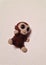 Small Stuffed Monkey on a White Background