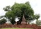 Small stupa under the tree beside the main pagoda in the ruins of ancient remains at Wat Worachet temple.