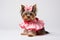 Small and stylish: yorkie in a pink suit