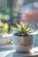 Small succulent plant in pot. Houseplant in flowerpot on a table. Generative AI