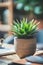 Small succulent plant in pot. Houseplant in flowerpot on a table. Generative AI