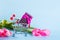 Small supermarket trolley with gift box surrounded with tender pink tulips on blue background with copy space