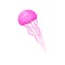 Small swimming jellyfish. Bright pink marine animal with long thin tentacles. Sea creature. Flat vector for print or