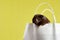 A small Syrian hamster is sitting in a paper bag on a yellow background, the concept: shopping, selling