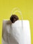 A small Syrian hamster is sitting in a paper bag on a yellow background, the concept: shopping, selling