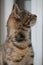 Small tabby kitten looks up at the window