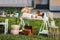 Small tables with many different items on garage sale in yard