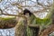 A small tawny owl sitting on a tree