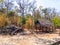 A small and temporary shack made from wood, bamboo and dried leaves