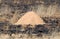 Small termite hill in a burned area