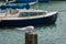 Small Tern Ocean Bird In Front of Boat