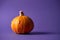 Small textured pumpkin on a purple background. Halloween decoration. Holiday Poster or Harvest. Copy space