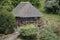 Small thatched roof house surrounded by bushes