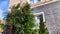 A small thuja cypress is an evergreen tree in the courtyard of the house in early spring or winter. Plants in the garden