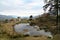 Small Tibetan monastery and lake at Tshoka, a rest-stop along the Goechala Trek, Kanchenjunga National Park, Sikkim, India