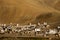 Small Tibetan village in Himalaya mountains. India