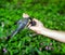 Small titmouse on women\'s hand