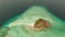 Small torpic island with a white sandy beach, top view.