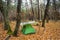 Small touristic tent in autumn forest