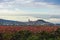 The small town of Navarrete among Vineyards in the autumn season