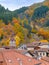 Small Town in a Wooded Mountains