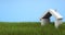 A small toy house made of mattresses on a blue background in green grass. 3d rendering