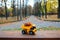 A small toy yellow truck is loaded with yellow fallen leaves. The car stands on a wooden surface against a background of a blurry