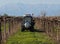 A small tractor in the middle of a row of vineyard while a vintner prunes the vines at the end of winter