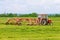 A small tractor with a rotary rake rakes freshly cut grass into the field. Agricultural work