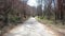 A small tractor with a trailer on a winding forest road in early spring.