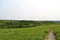 Small trail winds along a grassy hill