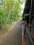 Small train used to transport people towards the iguaÃ§u waterfalls