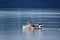 Small Trawler on Glacier Bay Alaska