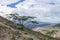 Small tree bush on the slope of the Andes. Ecuador. Not far fr