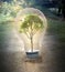 Small tree inside a bulb -