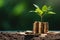 Small tree on stack coins idea for esg investment sustainable organizational development