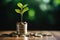 Small tree on stack coins idea for esg investment sustainable organizational development