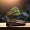 Small tree stands proudly on wooden surface, a slice of wilderness indoors